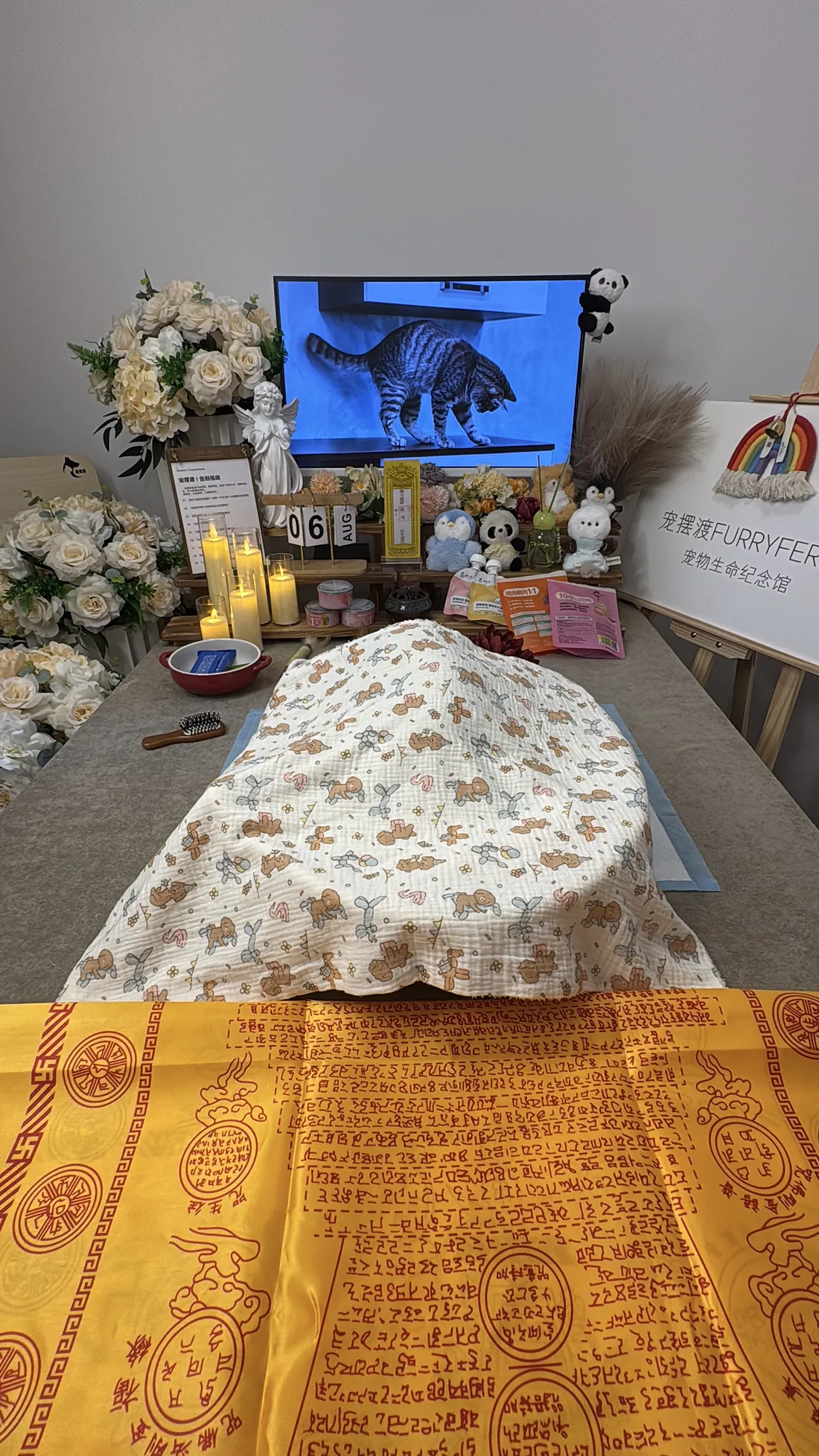 温州宠物告别仪式中的鲜花与纪念照片